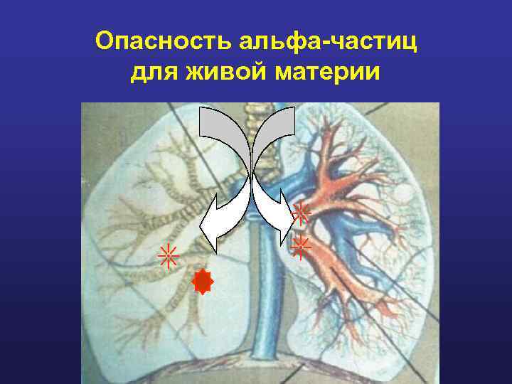 Опасность альфа-частиц для живой материи 