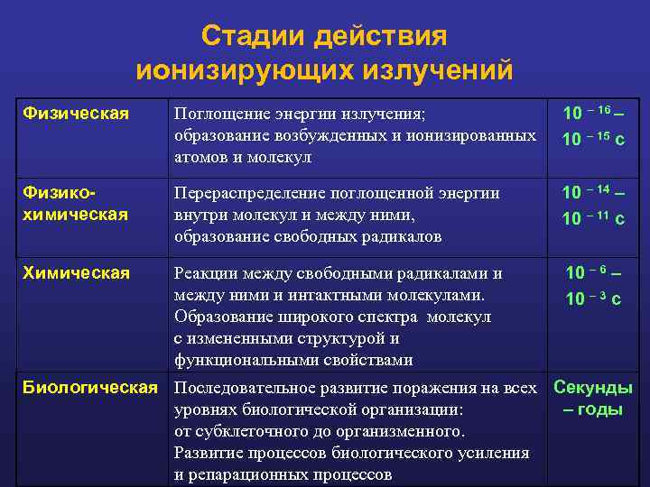 Стадии действия ионизирующих излучений Физическая Поглощение энергии излучения; образование возбужденных и ионизированных атомов и