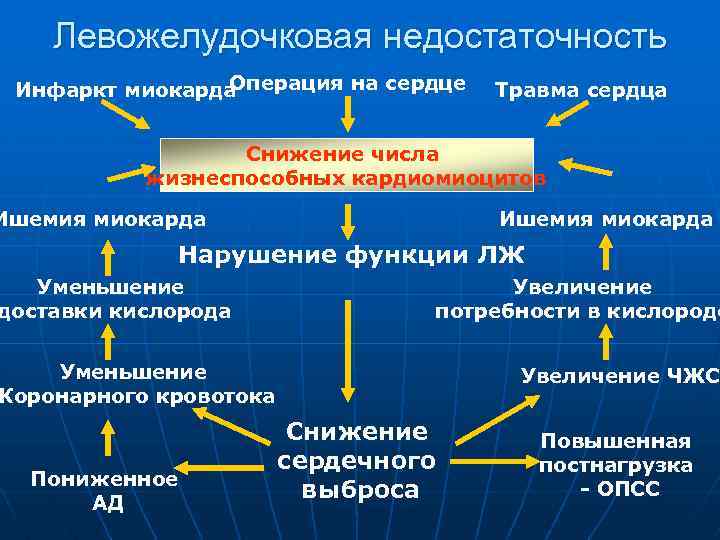 Левожелудочковая недостаточность Операция на сердце Инфаркт миокарда Травма сердца Снижение числа жизнеспособных кардиомиоцитов Ишемия