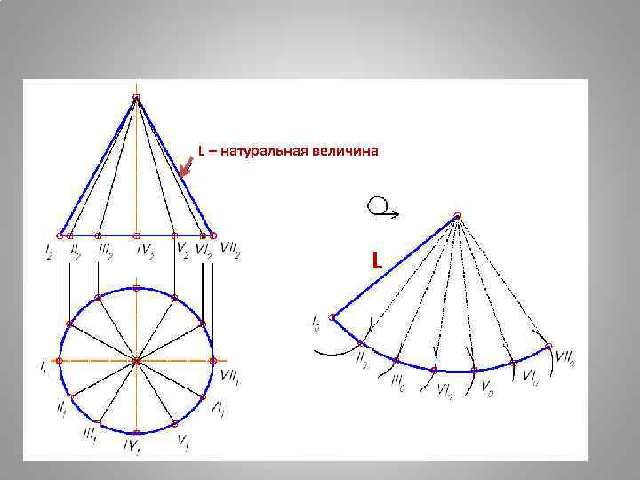 L – натуральная величина L 