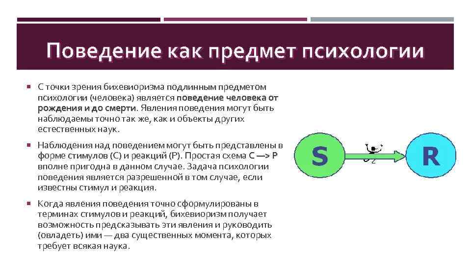 Поведение как предмет психологии С точки зрения бихевиоризма подлинным предметом психологии (человека) является поведение