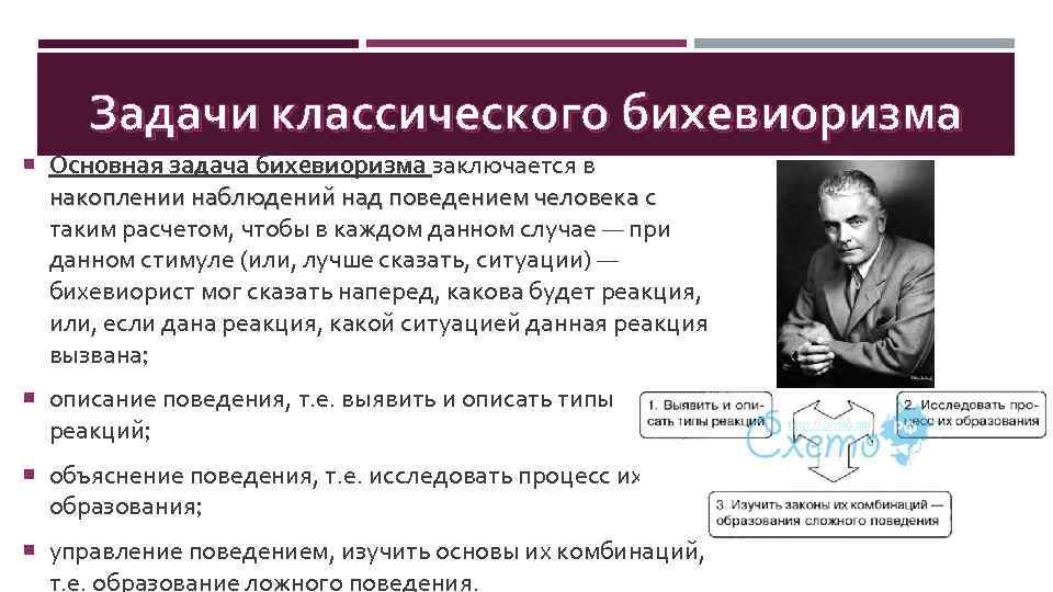 Задачи классического бихевиоризма Основная задача бихевиоризма заключается в накоплении наблюдений над поведением человека с