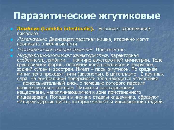 Паразитические жгутиковые n n Лямблия (Lamblia intestinalis). Вызывает заболевание лямблиоз. Локализация. Двенадцатиперстная кишка, вторично