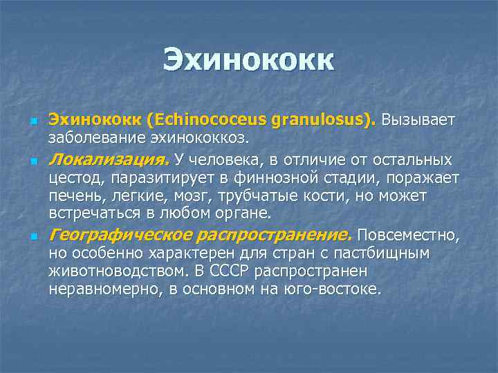 Эхинококк n n n Эхинококк (Echinococeus granulosus). Вызывает заболевание эхинококкоз. Локализация. У человека, в