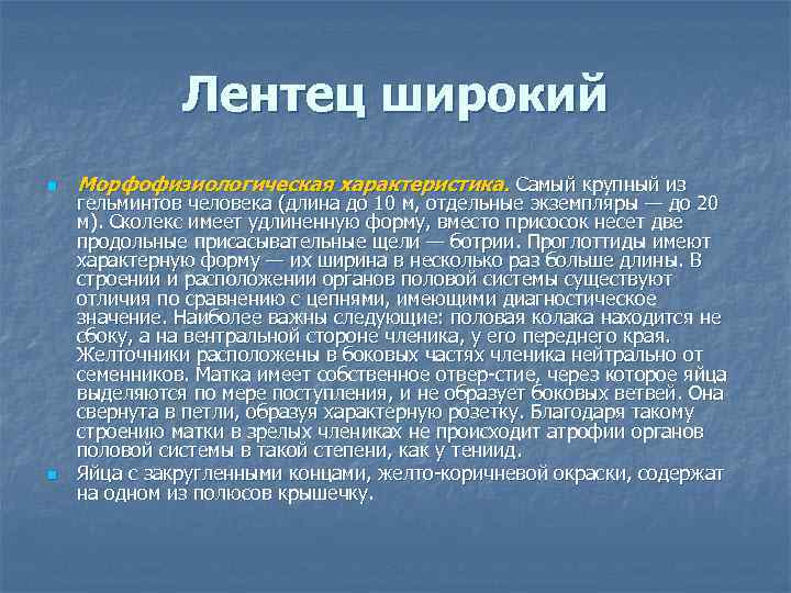 Лентец широкий n n Морфофизиологическая характеристика. Самый крупный из гельминтов человека (длина до 10