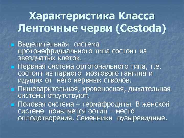 Характеристика Класса Ленточные черви (Cestoda) n n Выделительная система протонефридиального типа состоит из звездчатых