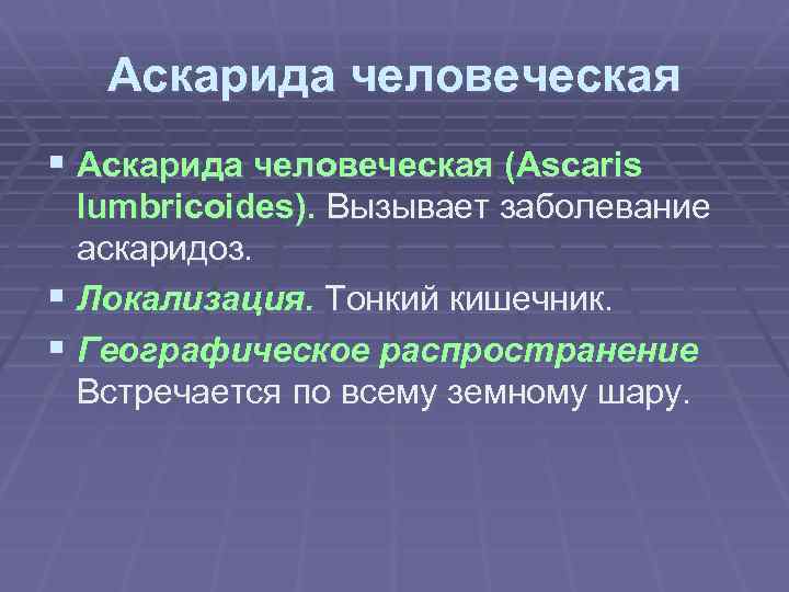 Аскарида человеческая § Аскарида человеческая (Ascaris lumbricoides). Вызывает заболевание аскаридоз. § Локализация. Тонкий кишечник.