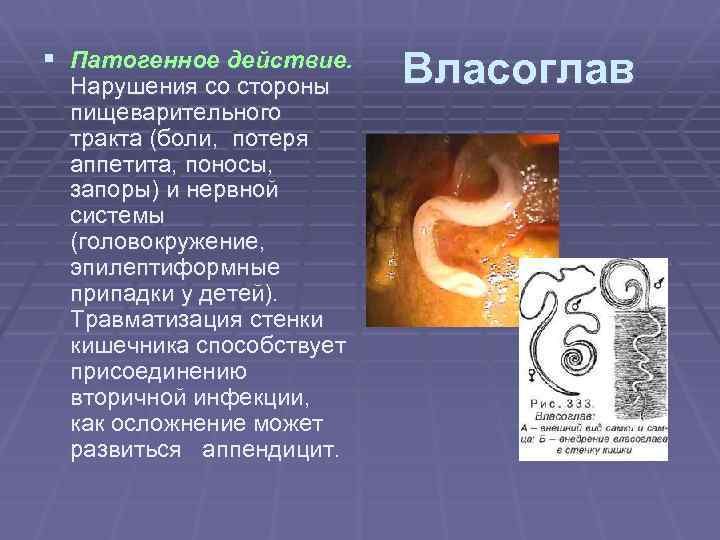 § Патогенное действие. Нарушения со стороны пищеварительного тракта (боли, потеря аппетита, поносы, запоры) и