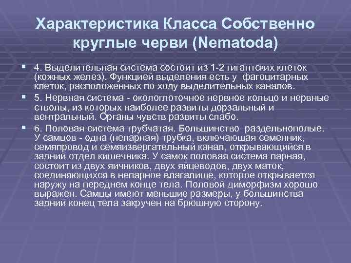Характеристика Класса Собственно круглые черви (Nematoda) § 4. Выделительная система состоит из 1 -2