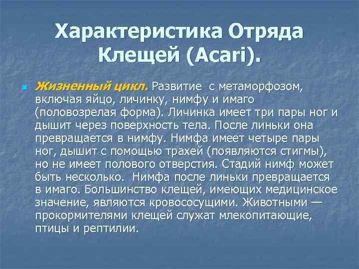 Характеристика Отряда Клещей (Acari). n Жизненный цикл. Развитие с метаморфозом, включая яйцо, личинку, нимфу