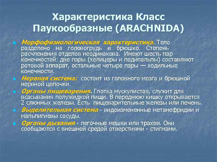 Характеристика Класс Паукообразные (ARACHNIDA) n n n Морфофизиологическая характеристика. Тело разделено на головогрудь и