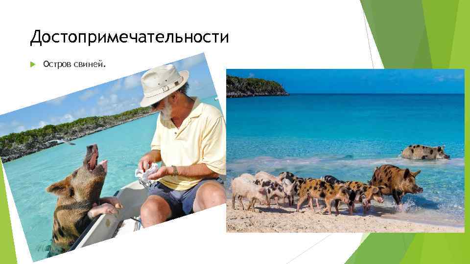 Достопримечательности Остров свиней. 