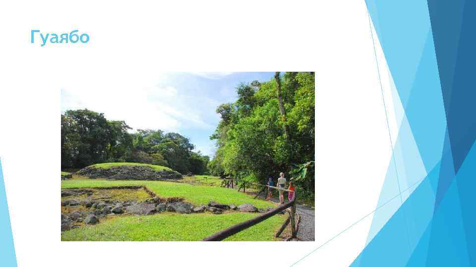 Гуаябо 