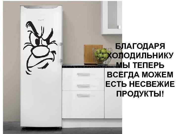 БЛАГОДАРЯ ХОЛОДИЛЬНИКУ МЫ ТЕПЕРЬ ВСЕГДА МОЖЕМ ЕСТЬ НЕСВЕЖИЕ ПРОДУКТЫ! 