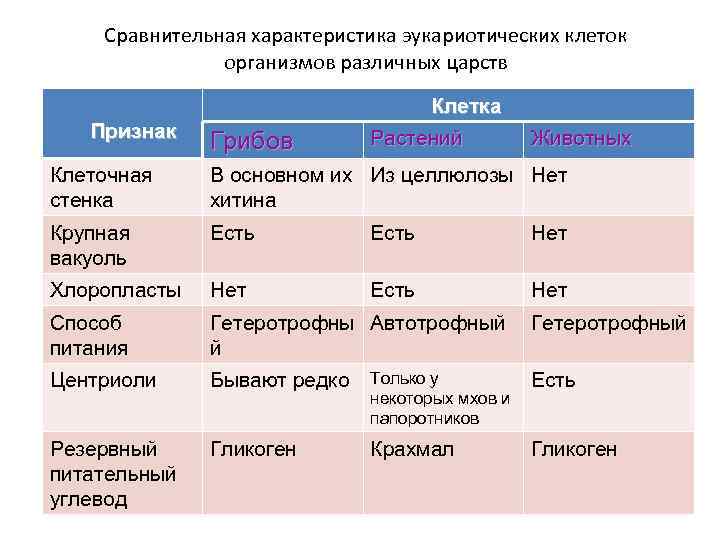 Сравнительная характеристика эукариотических клеток организмов различных царств Клетка Признак Грибов Растений Животных Клеточная стенка