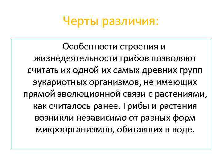 Черты различия: Особенности строения и жизнедеятельности грибов позволяют считать их одной их самых древних