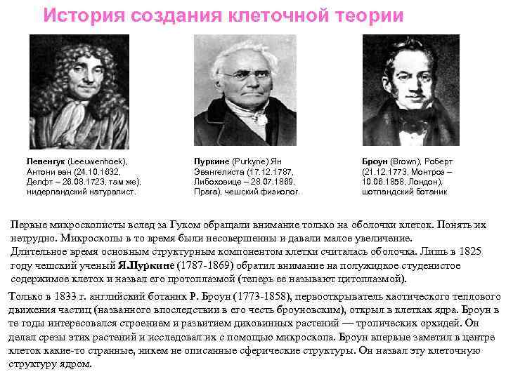 История создания клеточной теории Левенгук (Leeuwenhoek), Антони ван (24. 10. 1632, Делфт – 26.
