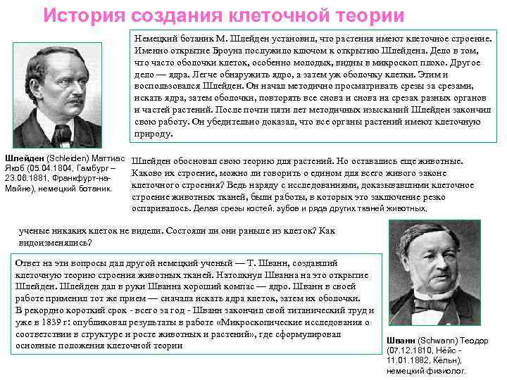 История создания клеточной теории Немецкий ботаник М. Шлейден установил, что растения имеют клеточное строение.