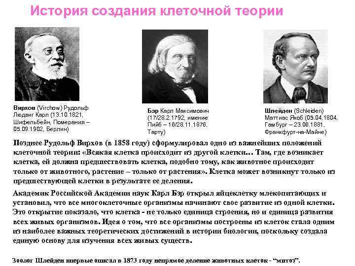 История создания клеточной теории Вирхов (Virchow) Рудольф Людвиг Карл (13. 10. 1821, Шифельбейн, Померания