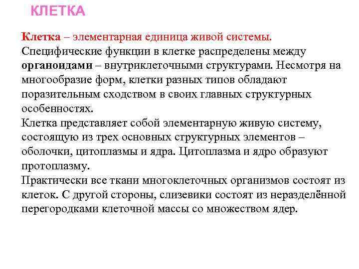 КЛЕТКА Клетка – элементарная единица живой системы. Специфические функции в клетке распределены между органоидами