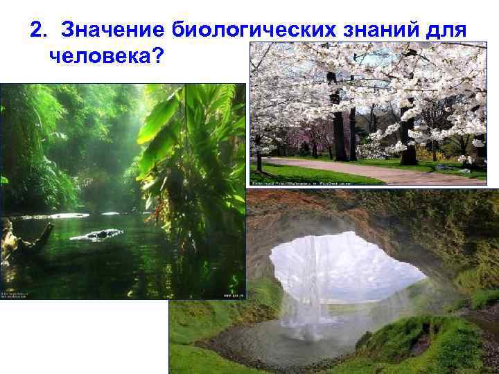 2. Значение биологических знаний для человека? 