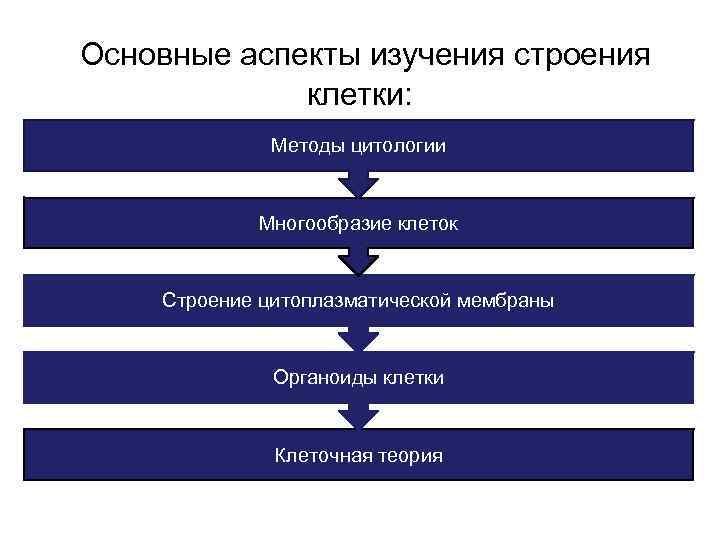 Основные аспекты изучения строения клетки: Методы цитологии Многообразие клеток Строение цитоплазматической мембраны Органоиды клетки