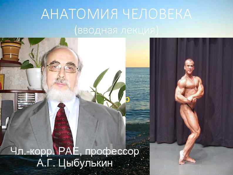 АНАТОМИЯ ЧЕЛОВЕКА (вводная лекция) офессор Чл. -корр. РАЕ, профессор А. Г. Цыбулькин 