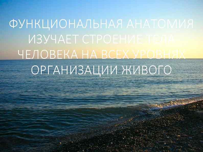ФУНКЦИОНАЛЬНАЯ АНАТОМИЯ ИЗУЧАЕТ СТРОЕНИЕ ТЕЛА ЧЕЛОВЕКА НА ВСЕХ УРОВНЯХ ОРГАНИЗАЦИИ ЖИВОГО 