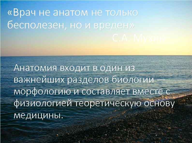  «Врач не анатом не только бесполезен, но и вреден» С. А. Мухин Анатомия