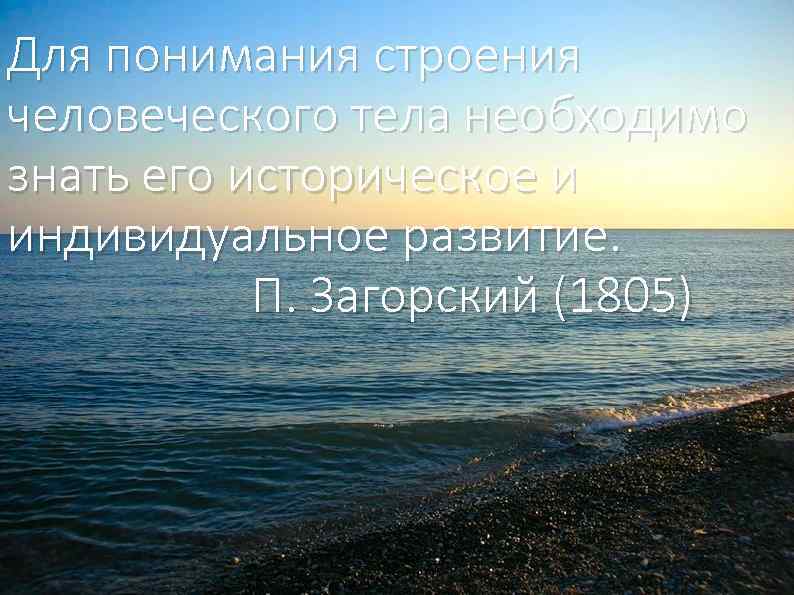 Для понимания строения человеческого тела необходимо знать его историческое и индивидуальное развитие. П. Загорский