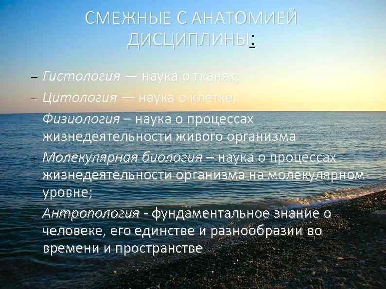 СМЕЖНЫЕ С АНАТОМИЕЙ ДИСЦИПЛИНЫ: ДИСЦИПЛИНЫ Гистология — наука о тканях; Цитология — наука о