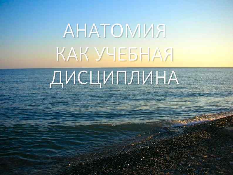 АНАТОМИЯ КАК УЧЕБНАЯ ДИСЦИПЛИНА 