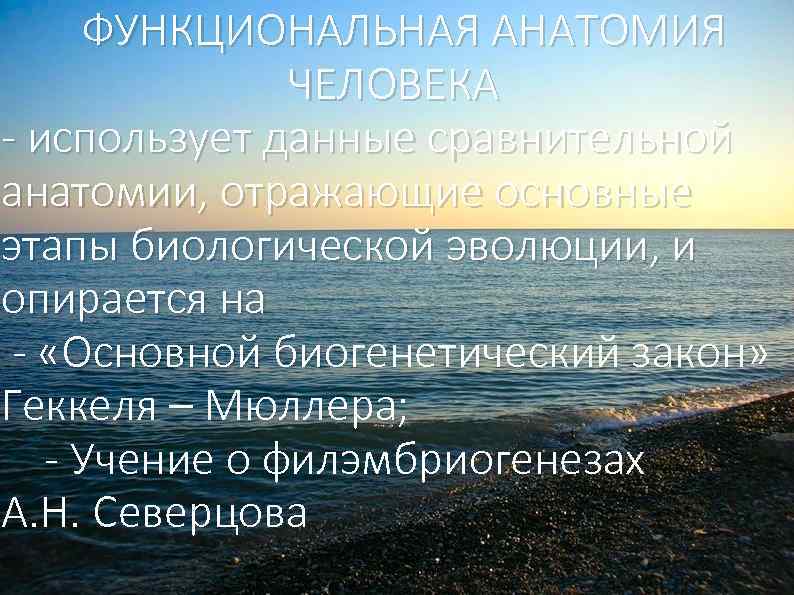 ФУНКЦИОНАЛЬНАЯ АНАТОМИЯ ДЛЯ ПОНИМАНИЯ СТРОЕНИЯ ЧЕЛОВЕЧЕСКОГО ТЕЛА НЕОБХОДИМО ЗНАТЬ ЕГО ИСТОРИЧЕСКОЕ И ЧЕЛОВЕКА ИНДИВИДУАЛЬНОЕ