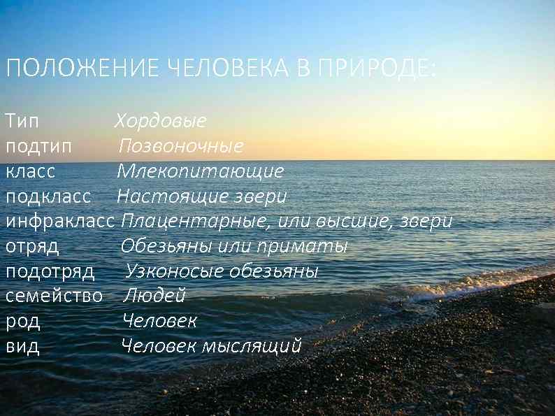 ПОЛОЖЕНИЕ ЧЕЛОВЕКА В ПРИРОДЕ: Тип Хордовые подтип Позвоночные класс Млекопитающие подкласс Настоящие звери инфракласс