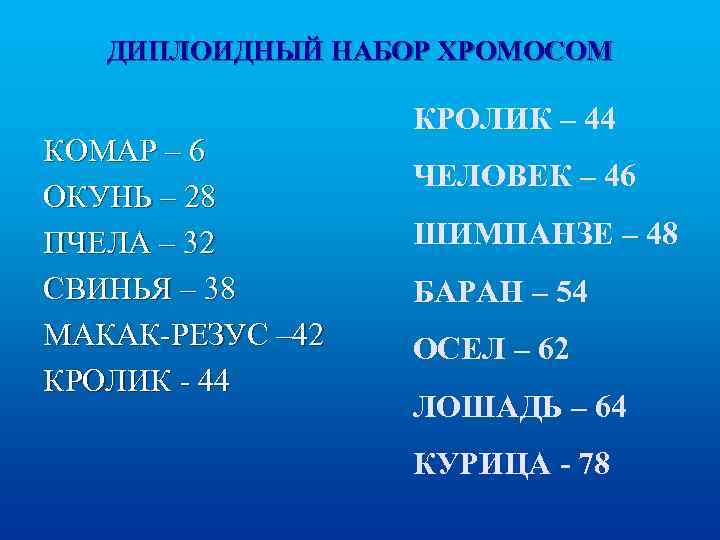 ДИПЛОИДНЫЙ НАБОР ХРОМОСОМ КОМАР – 6 ОКУНЬ – 28 ПЧЕЛА – 32 СВИНЬЯ –