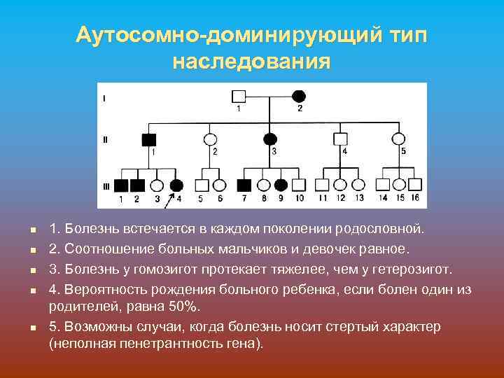 Аутосомно-доминирующий тип наследования n n n 1. Болезнь встечается в каждом поколении родословной. 2.
