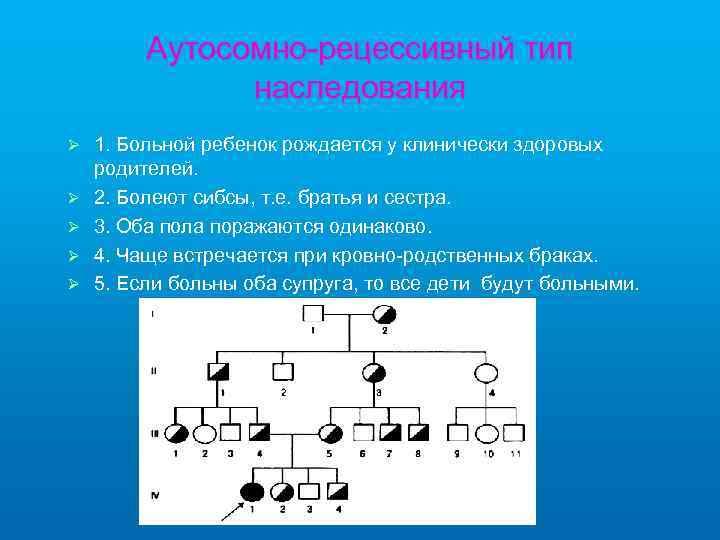 Аутосомно-рецессивный тип наследования Ø Ø Ø 1. Больной ребенок рождается у клинически здоровых родителей.