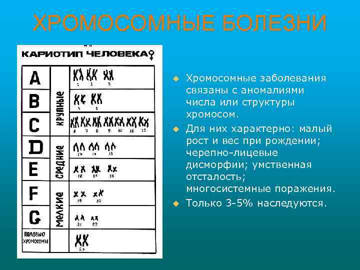 ХРОМОСОМНЫЕ БОЛЕЗНИ u u u Хромосомные заболевания связаны с аномалиями числа или структуры хромосом.