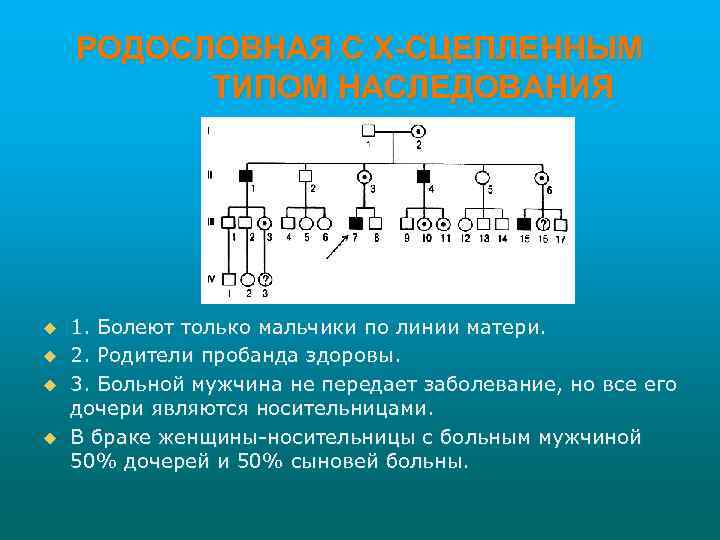 РОДОСЛОВНАЯ С Х-СЦЕПЛЕННЫМ ТИПОМ НАСЛЕДОВАНИЯ u u 1. Болеют только мальчики по линии матери.