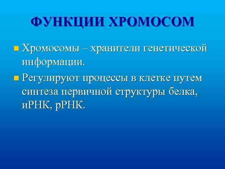 ФУНКЦИИ ХРОМОСОМ n Хромосомы – хранители генетической информации. n Регулируют процессы в клетке путем