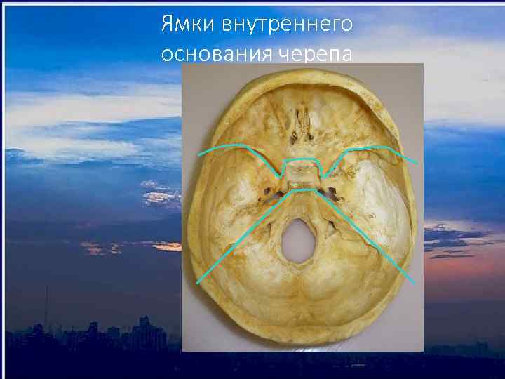 Ямки внутреннего основания черепа 