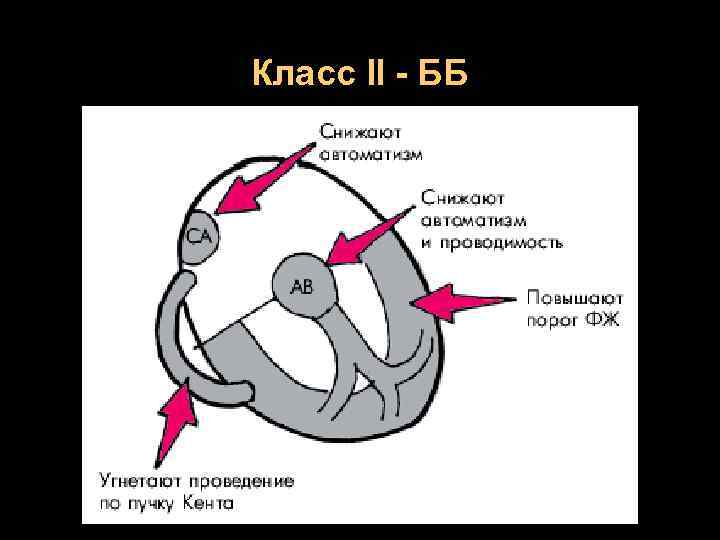 Класс II - ББ 