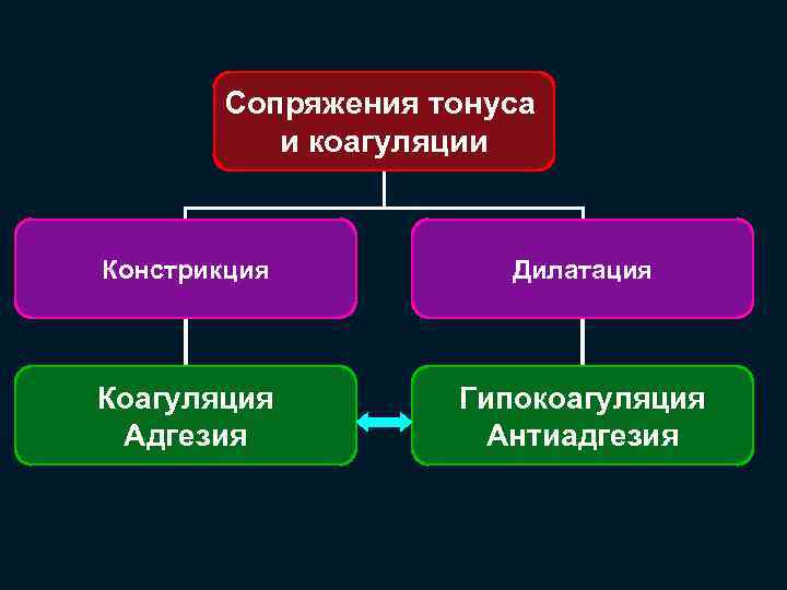 Сопряжения тонуса и коагуляции Констрикция Дилатация Коагуляция Адгезия Гипокоагуляция Антиадгезия 