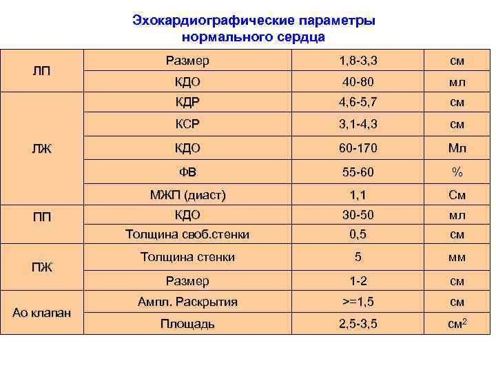 Эхокардиографические параметры нормального сердца мл 4, 6 -5, 7 см 3, 1 -4, 3