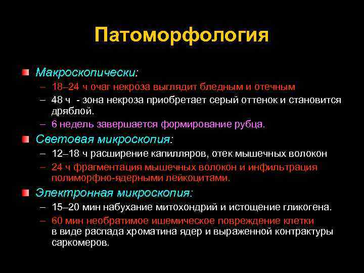 Патоморфология Макроскопически: – 18– 24 ч очаг некроза выглядит бледным и отечным – 48