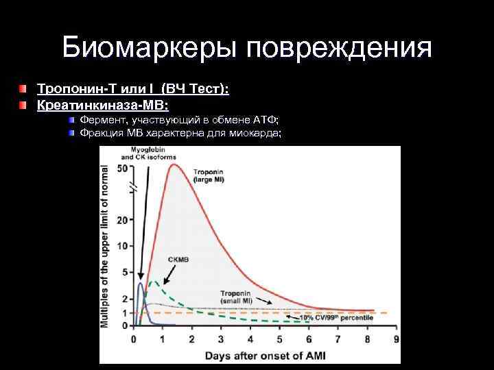 Биомаркеры повреждения Тропонин-Т или I (ВЧ Тест): Креатинкиназа-МВ: Фермент, участвующий в обмене АТФ; Фракция