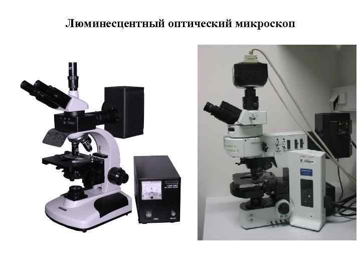 Люминесцентный оптический микроскоп 