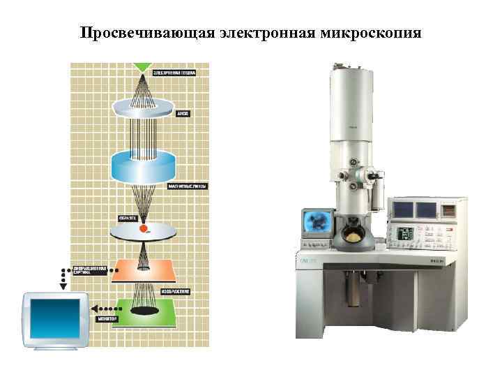 Просвечивающая электронная микроскопия 