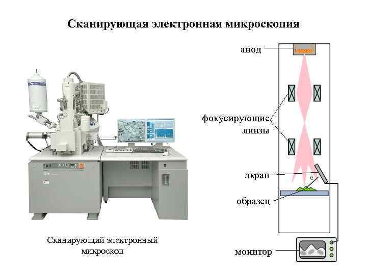 Сканирующая электронная микроскопия анод фокусирующие линзы экран образец Сканирующий электронный микроскоп монитор 