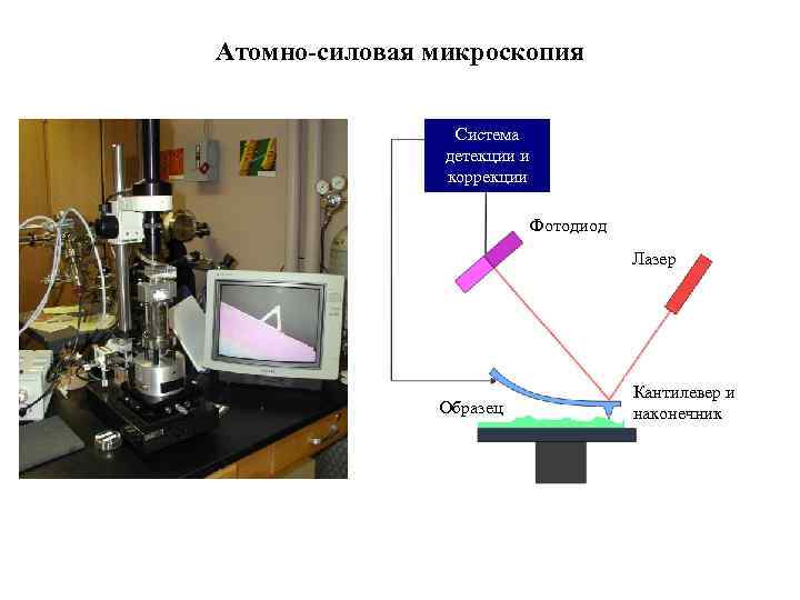 Атомно-силовая микроскопия Система детекции и коррекции Фотодиод Лазер Образец Кантилевер и наконечник 